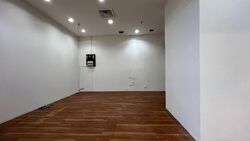 Lucky Plaza (D9), Shop House #628804881